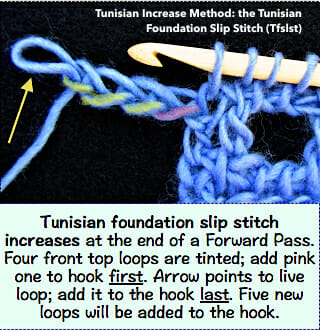 Tunisian foundation slip stitch: at the end of a Forward Pass, chain, remove last loop from hook, insert hook in a ch loop, then put live loop back onto hook. An increase of one stitch.