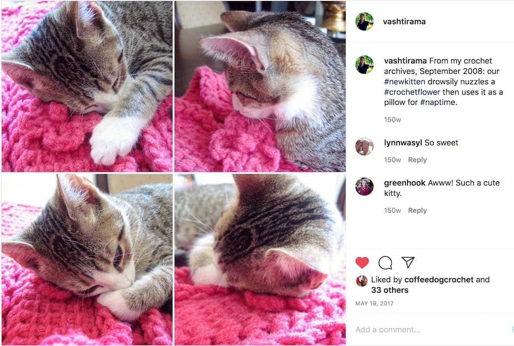 four panels of young kitten nuzzling and napping on my crocheted flowers, from my September 2008 crochet archives.