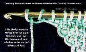 Two crossed loops (half hitches) have been "cast on" at the end of a Tunisian forward pass row.