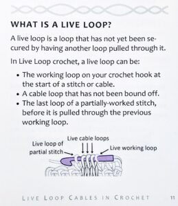 Excerpt: what is a Live Loop from page 11